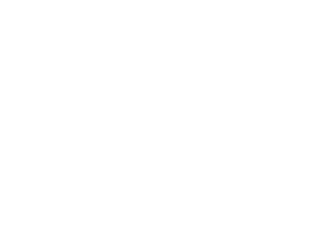 kariéra